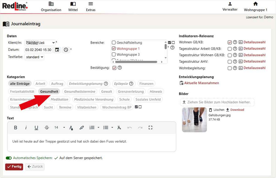 Journaleintragskategorien