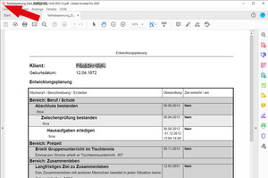 PDF-Dokument Entwicklungsplanung